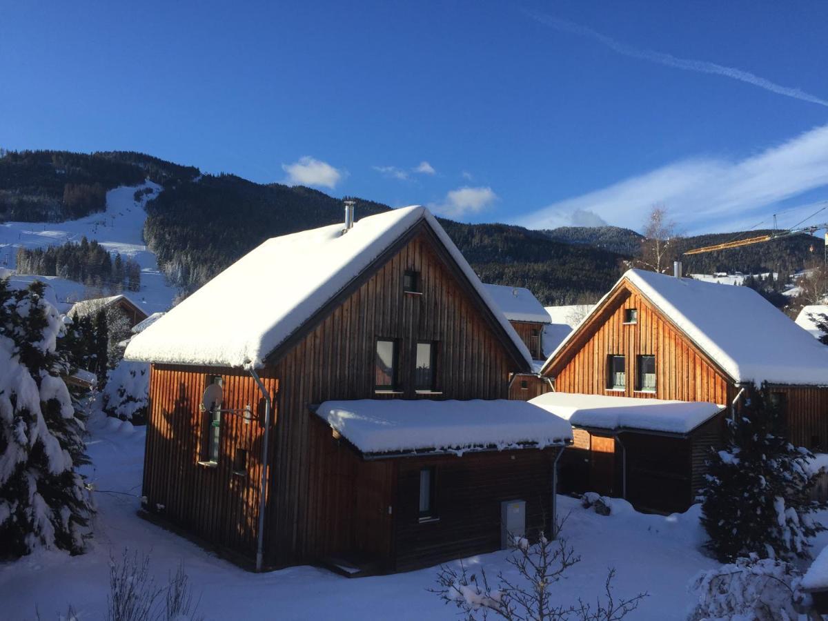 Alpenferienhaus Sophia Sankt Lorenzen ob Murau Esterno foto